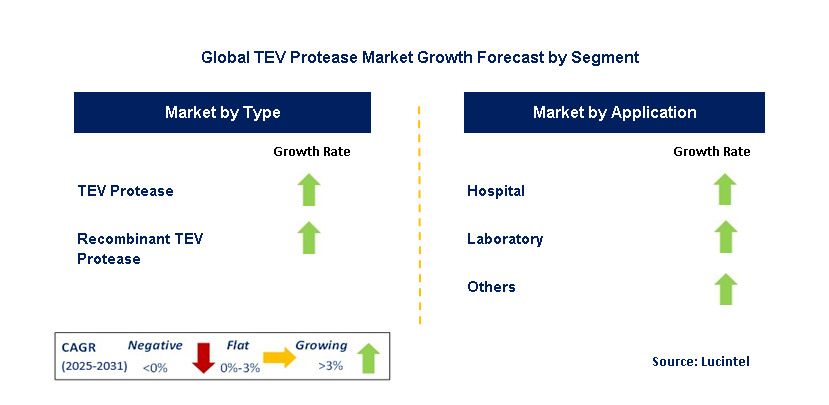 TEV Protease Market by Segment
